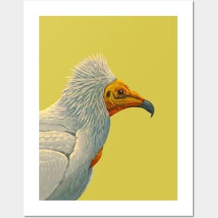 bird Posters and Art